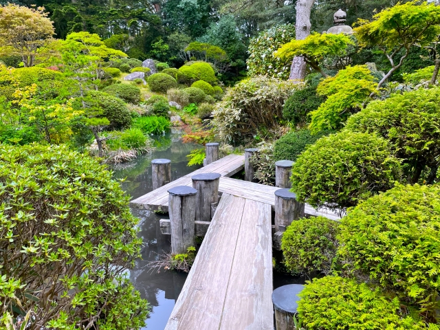 本間美術館