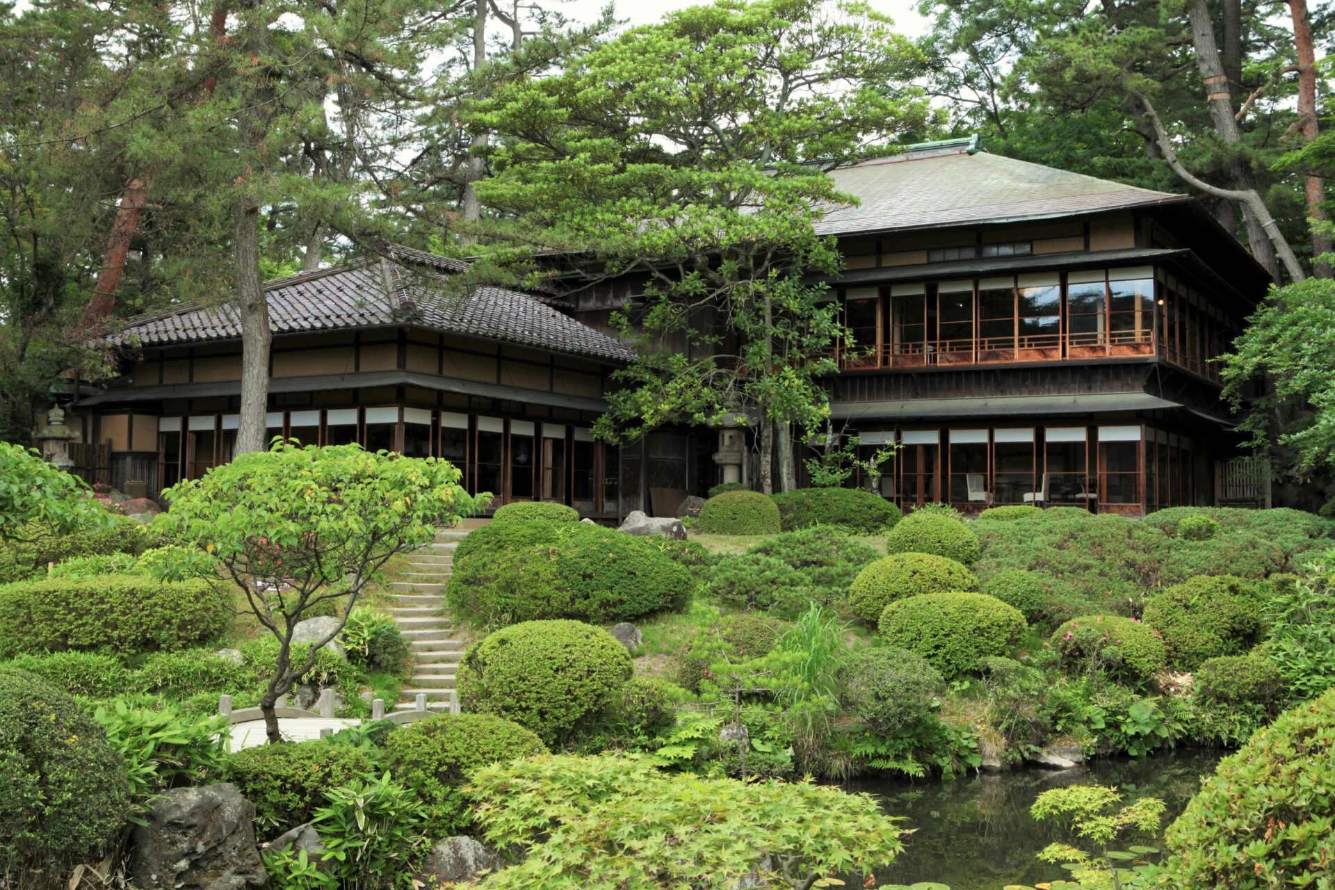 基本情報