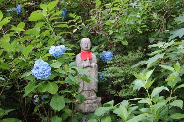 青いあじさいに囲まれた高林寺のお地蔵さま