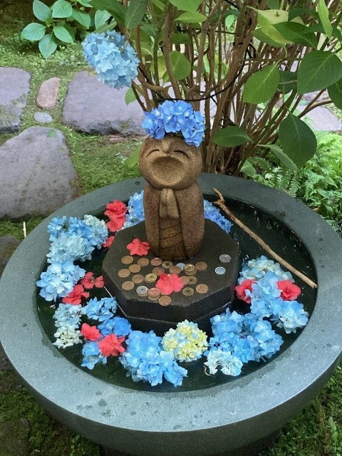 あじさいを浮かべた雲昌寺の花手水