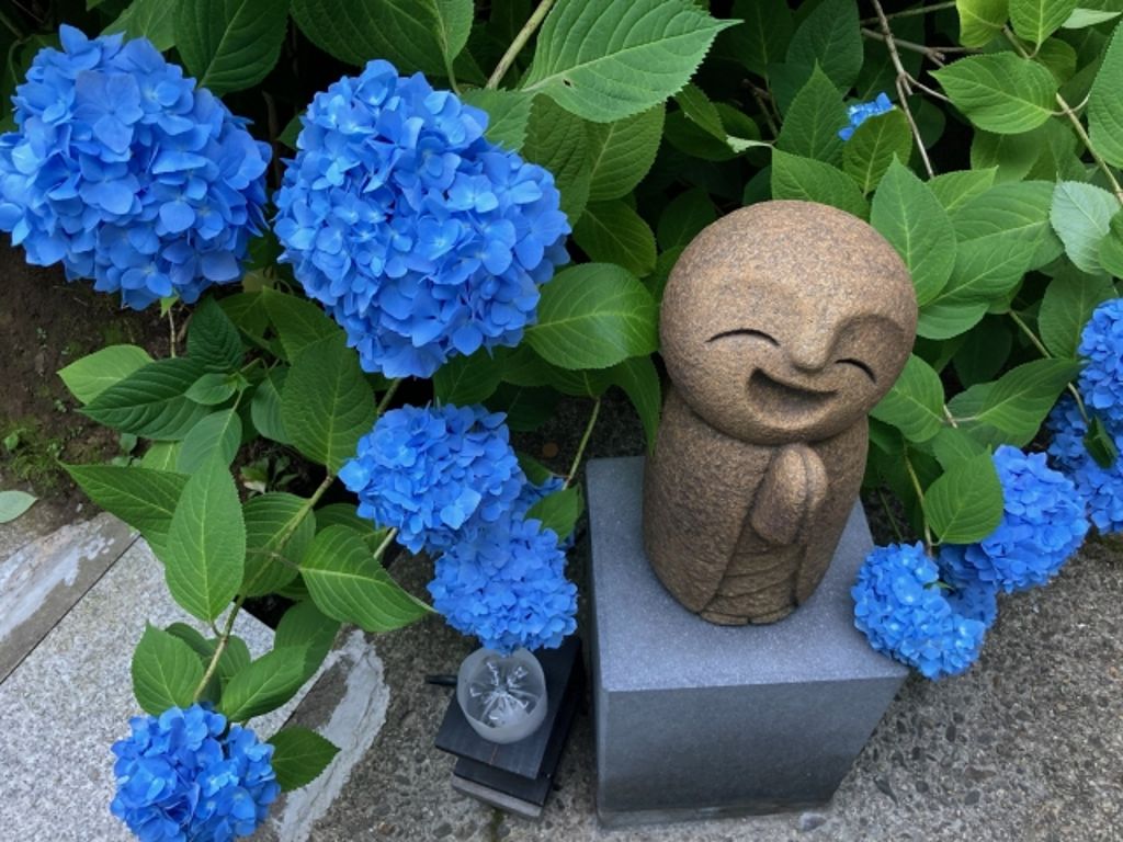 青いあじさいに囲まれた雲昌寺のお地蔵さま