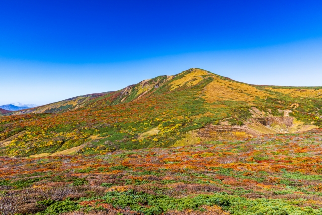 青空の下、栗駒山の山頂へ続く紅葉の斜面
