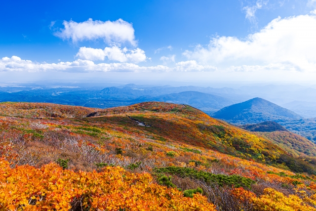 9月下旬の栗駒山。稜線は色づき、遠くの低い山はまだ緑