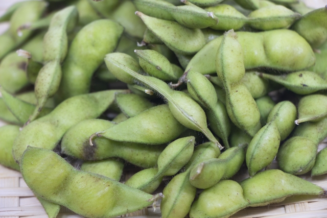 サヤに茶色いうぶ毛が生えただだちゃ豆のアップ