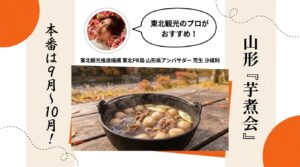 山形の芋煮会 里芋と牛肉のしょうゆ味の芋煮が入った鉄鍋