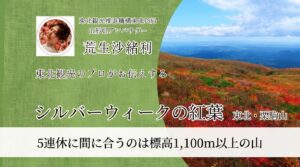 栗駒山の紅葉「神の絨毯」。シルバーウィークに間に合う東北の紅葉