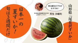 尾花沢すいか アイキャッチ