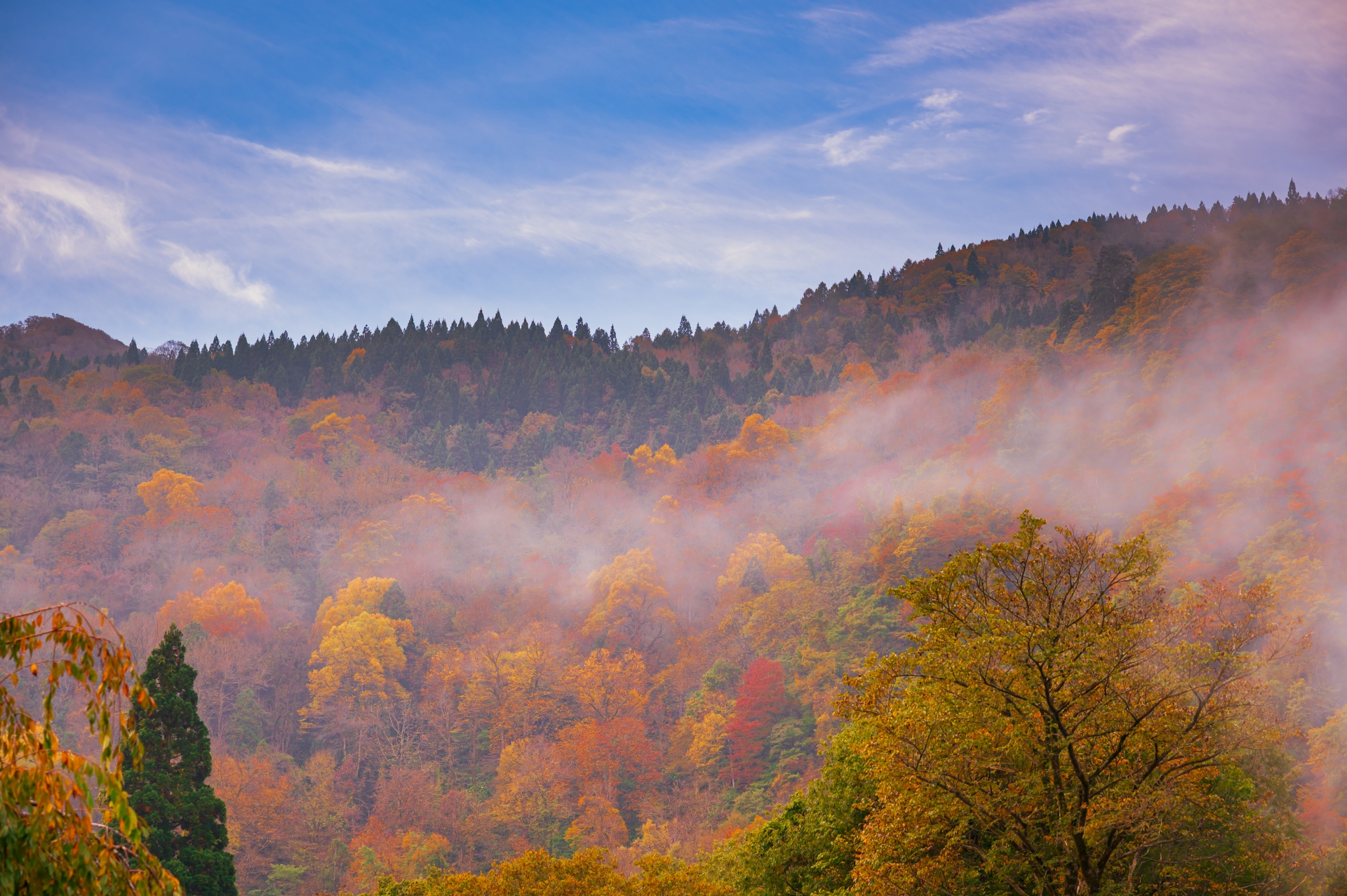 朝霧が立ちこめる紅葉の山