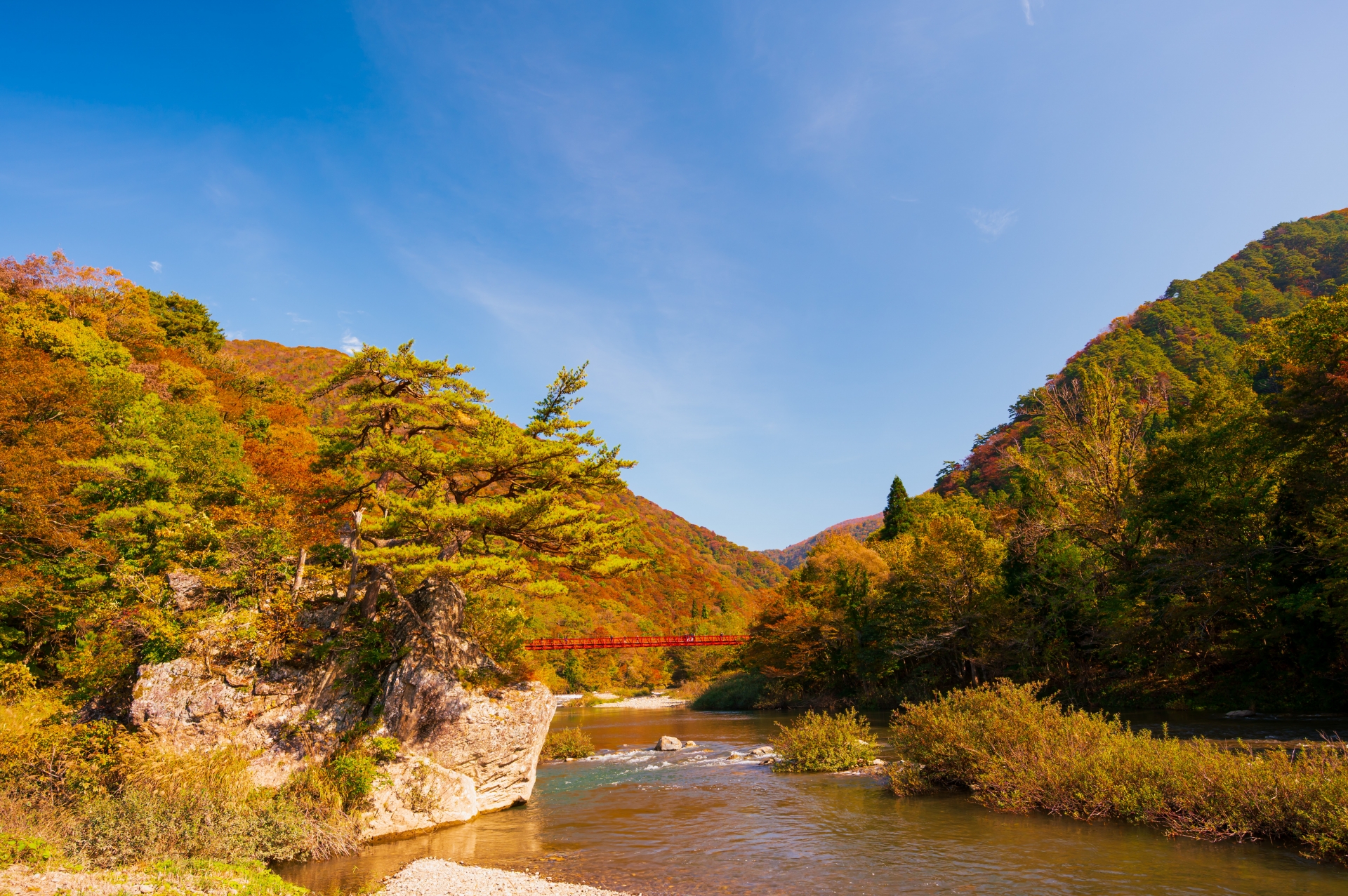 紅葉の渓谷にかかる赤い橋と清流
