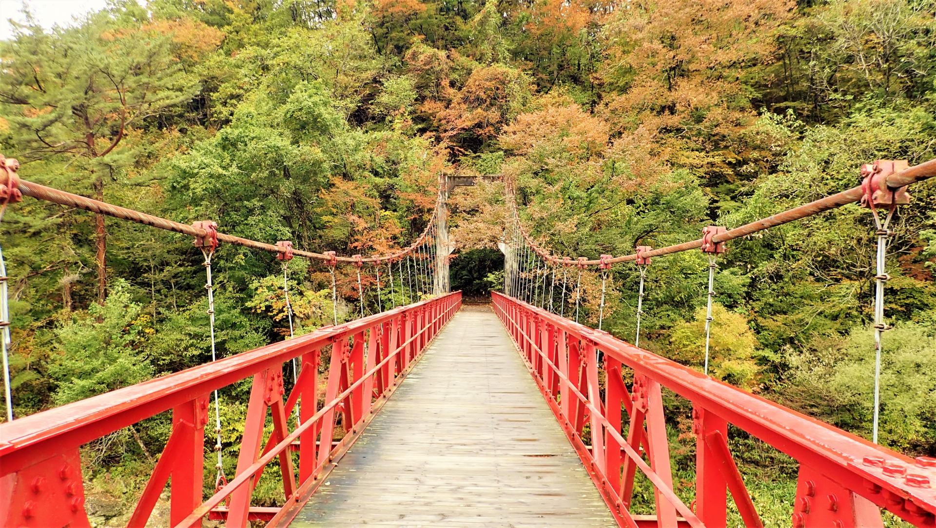 渓谷にかかる赤い吊り橋