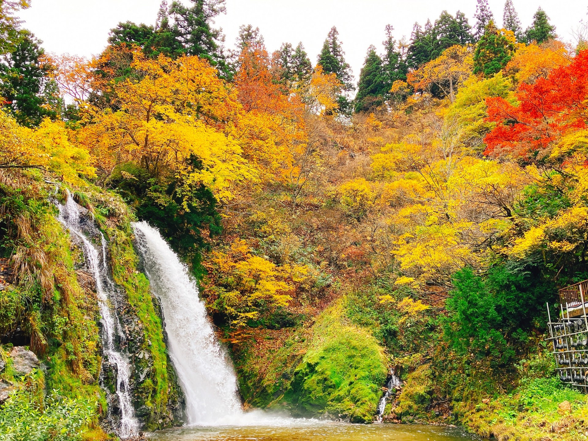 紅葉に囲まれた白銀の滝