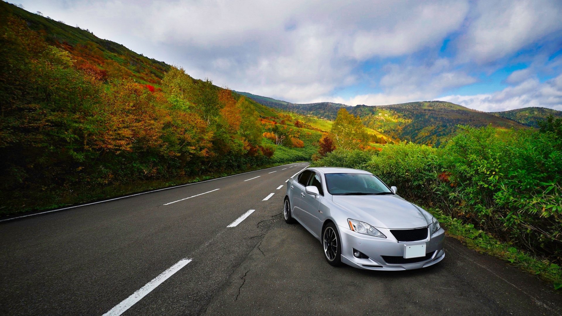 紅葉の山道を走る車