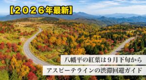 紅葉に染まる八幡平アスピーテラインの俯瞰（イメージ）