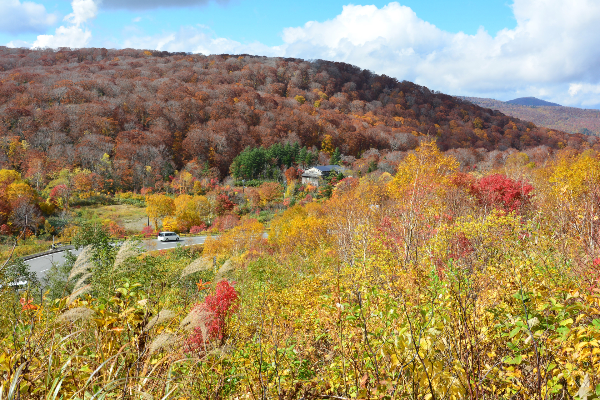 紅葉が斜面をおおう山あいの眺め