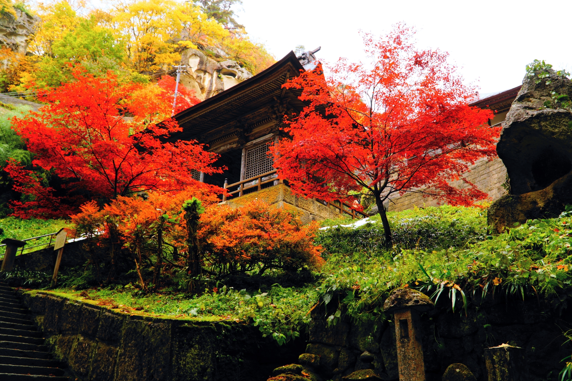 真っ赤に色づいたモミジと山寺の堂を見上げる